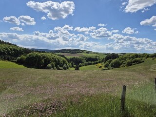 Ferienhaus Plütscheid Umgebung 5
