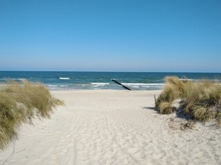 Strand in Zingst