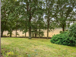 Ferienhaus Söderåkra Außenaufnahme 6