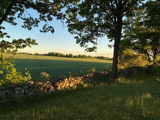 Holiday house Söderåkra Outdoor Recording 14