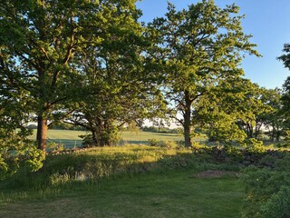 Holiday house Söderåkra Outdoor Recording 25