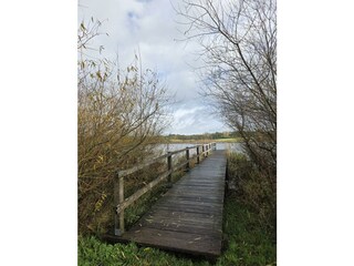 Jungfernweiher Ulmen