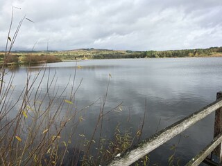 Jungfernweiher Ulmen