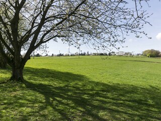 Fewo Marienhof - Ausblick