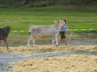 Valentina bei der Viehausstellung