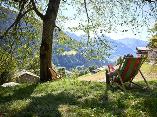Liegewiese mit Schatten oberhalb des Hauses