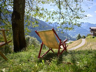 Aussicht der Liegewiese unterhalb des Kirschbaumes