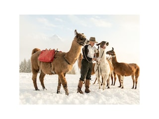 Lamatrekking am Bartholomäberg