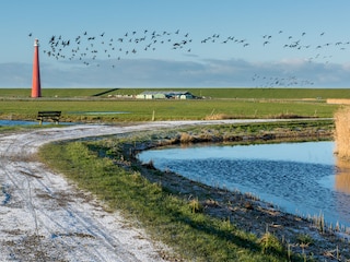 Bungalow Julianadorp Omgeving 22