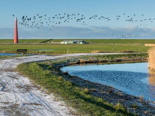 Leuchtturm "Lange Jaap" von Den Helder