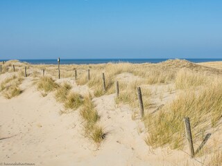 Bungalow Julianadorp Omgeving 23