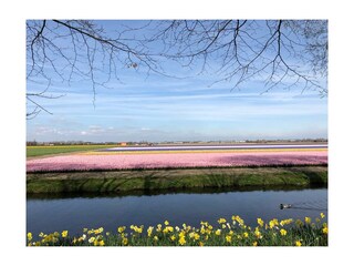 Apartment Zandvoort Umgebung 10