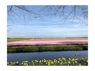 Apartment Zandvoort Umgebung 8