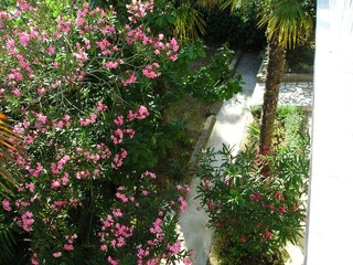 Apartment Dramalj  10