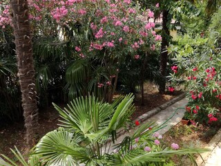 Apartment Dramalj  12