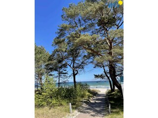 Appartamento per vacanze Binz Registrazione all'aperto 4