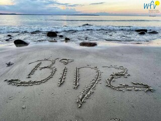 Appartamento per vacanze Binz Caratteristiche 13