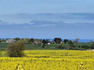 auf dem Weg zur Anlage