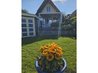 Südterrasse und Garten