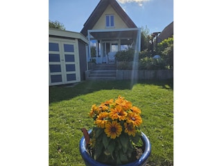 überdachte Terrasse Nordseite