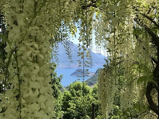 Blick auf den See vom Sitzplatz (Pergola)