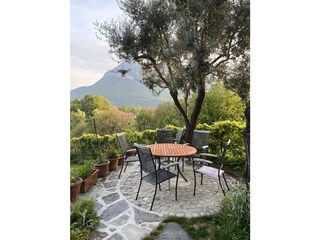Seating area under the olive tree