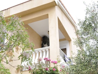 Apartment Povljana  3