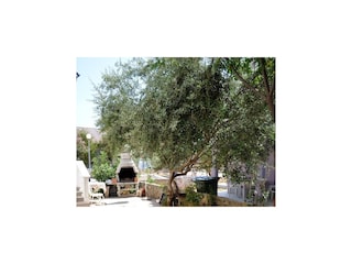 Apartment Povljana  5