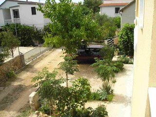 Apartment Povljana  6