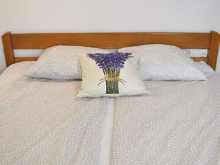 Apartment Povljana  15