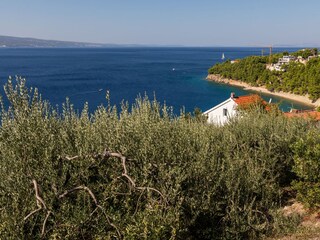 Apartment Stanici  24