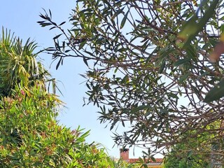 Apartment Crikvenica  3