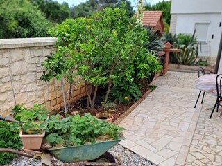 Holiday room Ližnjan  4