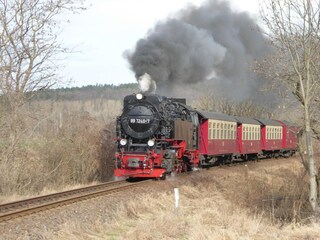 Holiday house Neinstedt Environment 32