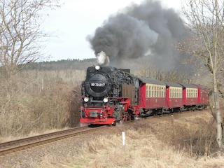 Ferienhaus Neinstedt Umgebung 36