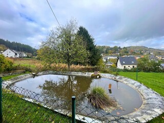 Appartement Birresborn Buitenaudio-opname 2