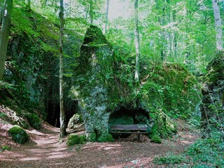 Appartement Birresborn Omgeving 41