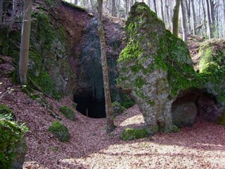 Apartment Birresborn Umgebung 42