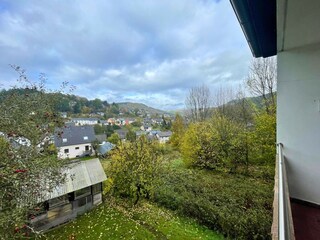 Casa per le vacanze Birresborn Caratteristiche 15