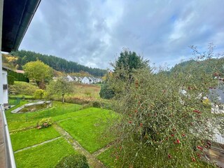 Ferienhaus Birresborn Außenaufnahme 4