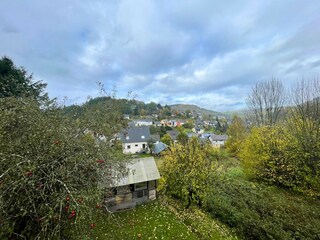 Casa per le vacanze Birresborn Registrazione all'aperto 3