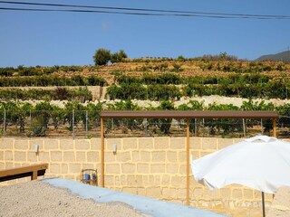 Vakantiehuis Fasnia Omgeving 21