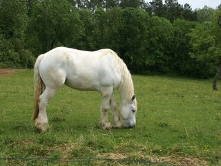Maison de vacances Bouzic Environnement 26