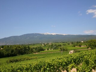 Casa per le vacanze Orange (Vaucluse) Ambiente 32