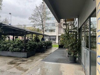 Apartment Welt Outdoor Recording 4