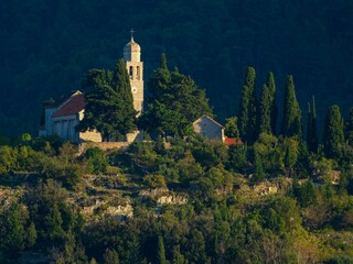 Holiday house Svirce Environment 30