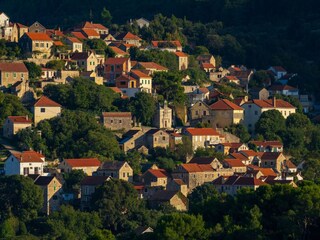 Holiday house Svirce Environment 33