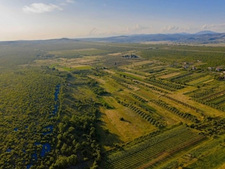 Maison de vacances Stankovci Environnement 42