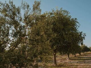 Holiday house Stankovci Environment 45