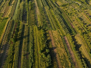 Casa per le vacanze Stankovci Ambiente 45